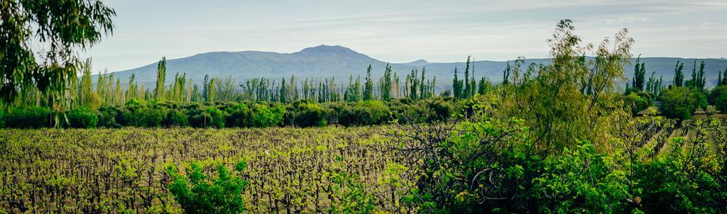 Finca La Encantada 산라파엘 외부 사진