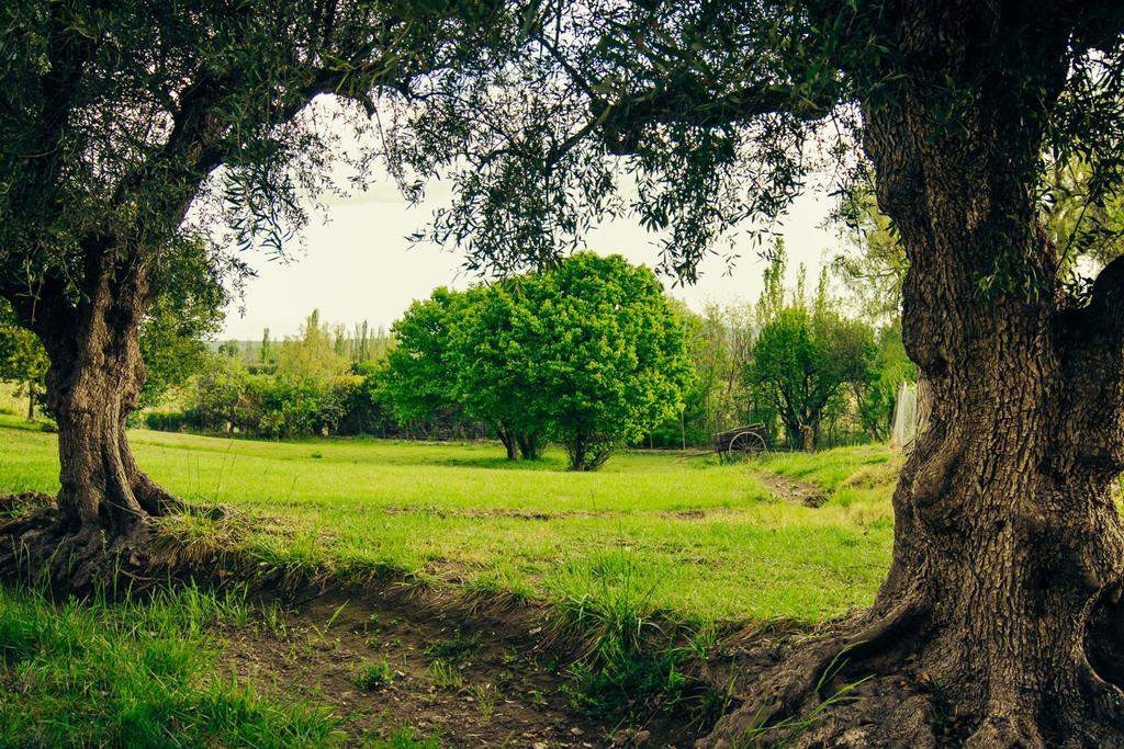 Finca La Encantada 산라파엘 외부 사진